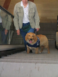 Les escalators